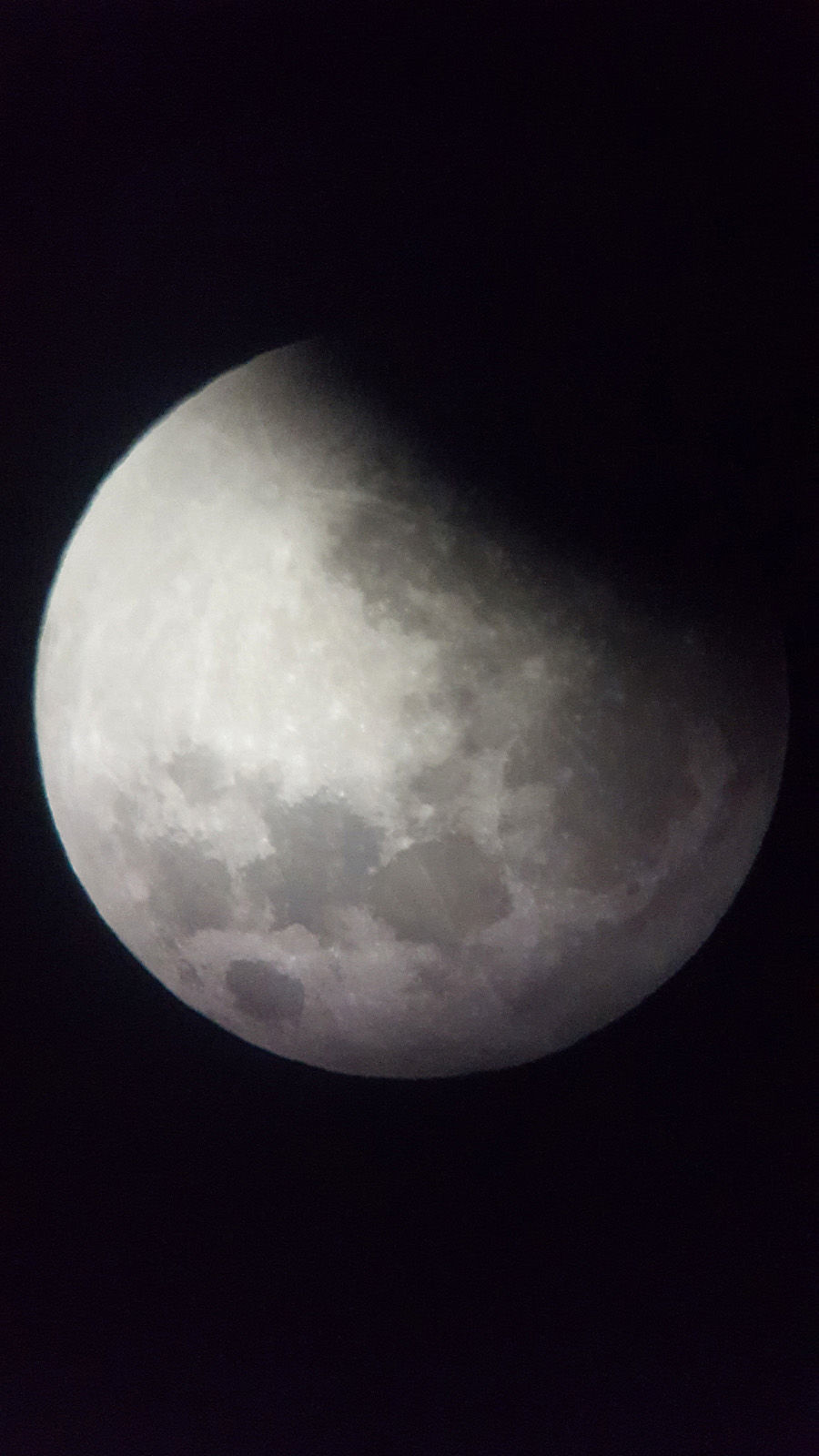Darcy Matus: Lunar eclipse
